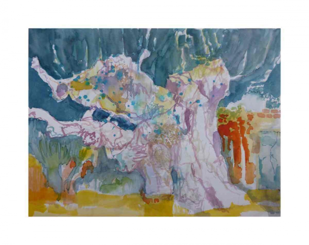 Olivenbaum in Carvalhal do Pombo, Portugal